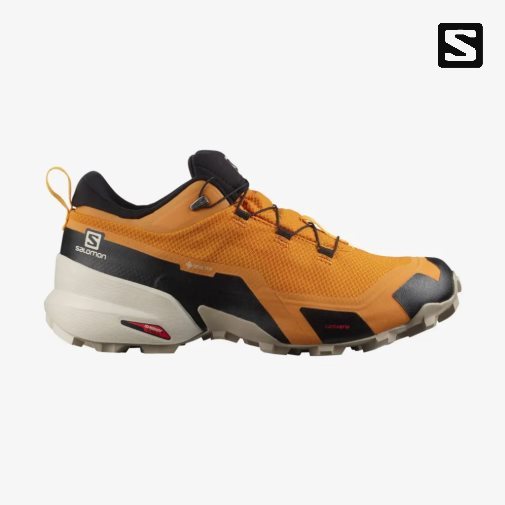 Tênis De Caminhada Salomon Cross Hike GTX Masculino Manga | PT A91784